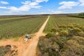 Property photo of 1223 Cadell Valley Road Cadell SA 5321
