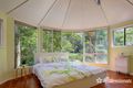Property photo of 34 Kinabalu Drive Tamborine Mountain QLD 4272