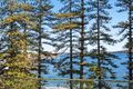 Property photo of 310/54-68 West Esplanade Manly NSW 2095