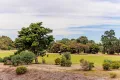 Property photo of 25 Norman Road West Lakes SA 5021