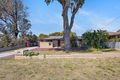 Property photo of 37 Seaflower Crescent Craigie WA 6025