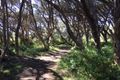 Property photo of 1/30 Lockington Crescent Point Lonsdale VIC 3225