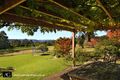 Property photo of 81C Jorgenson Lane Bellawongarah NSW 2535