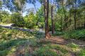 Property photo of 49 Finlay Road Warrawee NSW 2074