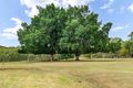 Property photo of 427 Wollombi Road Farley NSW 2320
