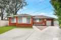 Property photo of 3 Dunbier Avenue Lurnea NSW 2170