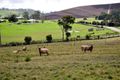 Property photo of 970 Pipers Brook Road Pipers Brook TAS 7254