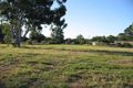 Property photo of 14 Serenity Drive Tinana QLD 4650