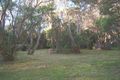 Property photo of 91 Heyfield Road Rye VIC 3941