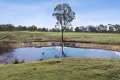 Property photo of 4405 Bylong Valley Way Upper Growee NSW 2849