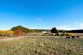 Property photo of 469 Daylesford-Trentham Road Musk VIC 3461