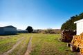 Property photo of 469 Daylesford-Trentham Road Musk VIC 3461