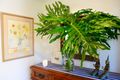 Property photo of 30 Toongahra Circuit Goonellabah NSW 2480