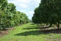 Property photo of 36688 Bruce Highway Takilberan QLD 4671