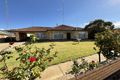 Property photo of 17 Miller Street Waikerie SA 5330