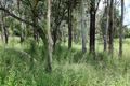 Property photo of 49 Milden Street Gin Gin QLD 4671