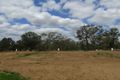 Property photo of 1 Kingsbarns Terrace Cessnock NSW 2325