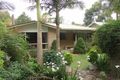 Property photo of 44 Murramarang Road Bawley Point NSW 2539