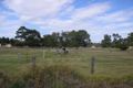 Property photo of 77 Twelfth Road Haynes WA 6112