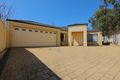 Property photo of 23A Excelsum Terrace Mirrabooka WA 6061