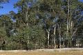 Property photo of 5210 Corbett Close Spring Farm NSW 2570
