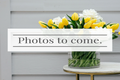 Property photo of 15 Keam Crescent Mildura VIC 3500