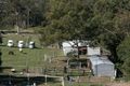 Property photo of 572 Grieve Road Rochedale QLD 4123