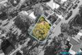 Property photo of 119 Goliath Avenue Winston Hills NSW 2153