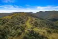 Property photo of 2642 Carrowbrook Road Carrowbrook NSW 2330