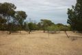 Property photo of 41 Kelly Road One Tree Hill SA 5114