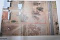 Property photo of 6 Macbride Place Kojonup WA 6395