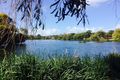 Property photo of 10 Aldebaran Road Ocean Grove VIC 3226