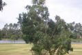 Property photo of 9/14 Willow Court Sale VIC 3850