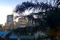 Property photo of 14/6 Challis Avenue Potts Point NSW 2011