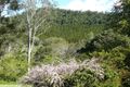 Property photo of 6 Parkview Ridge Imbil QLD 4570