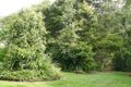Property photo of 6 Parkview Ridge Imbil QLD 4570