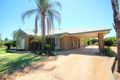 Property photo of 64 Etiwanda Street Renmark West SA 5341