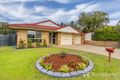 Property photo of 5 Coleman Court Murrumba Downs QLD 4503