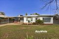 Property photo of 100 Fitzroy Avenue Red Cliffs VIC 3496