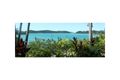 Property photo of 12 Bay Terrace Shute Harbour QLD 4802