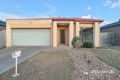 Property photo of 34 Starflower Way Truganina VIC 3029