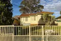 Property photo of 58 Grainger Avenue Mount Pritchard NSW 2170