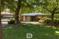 Property photo of 43 White Avenue Romsey VIC 3434