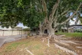 Property photo of 52 Anderson Drive Tarro NSW 2322