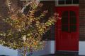 Property photo of 100 Gladstone Street Mudgee NSW 2850