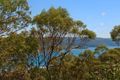 Property photo of 73 Cheryl Crescent Newport NSW 2106