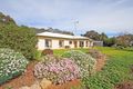 Property photo of 118 Mount McIntosh Road Naracoorte SA 5271