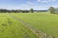 Property photo of 115 Barholme Lane Murroon VIC 3243