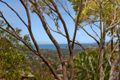 Property photo of 73 Cheryl Crescent Newport NSW 2106