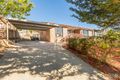 Property photo of 24 Mackerras Crescent Theodore ACT 2905
